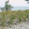 images/Schweden/Schweden 2009/IMG_4486.jpg